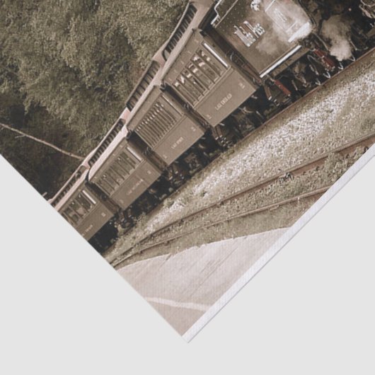 Zug Seidenpapier (Ausschnitt)