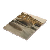 Zug über James River Fliese (Seite)