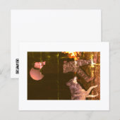 Zugänglicher Wolf Postkarte (Vorne/Hinten)