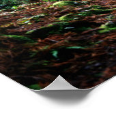 Züge im Wald Poster (Ecke)