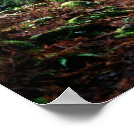 Züge im Wald Poster (Ecke)