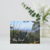 Zugegeben und Wildblumen, Big Bend Nationalpark Postkarte (Stehend Vorderseite)