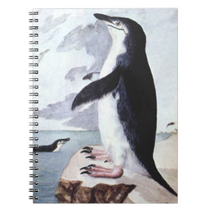 Zügelpinguin, Antarktische Vögel in alter Zeitaufn Notizblock