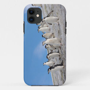 Zügelpinguine Pygoscelis Antarctica Case-Mate iPhone Hülle