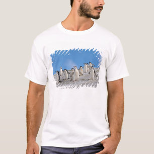 Zügelpinguine Pygoscelis Antarctica T-Shirt