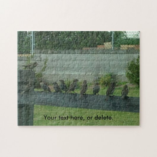 Zügelt Vögel auf der Schiene Ihre Worte Puzzles (Horizontal)