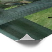 Zügelt Vögel auf einer Schiene Ihre Worte Posters Poster (Ecke)