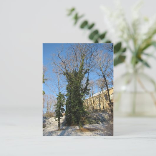 Zugewachsener Baum Postkarte (Stehend Vorderseite)