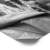 Zugmaschine in Schwarzweiß Poster (Ecke)