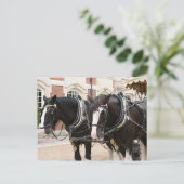 Zugpferde Postkarte (Stehend Vorderseite)