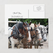Zugpferde-Team Danke Postkarte (Vorne/Hinten)