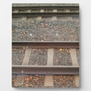 Zugtrassen, Bahn Fotoplatte