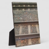 Zugtrassen, Bahn Fotoplatte (Seite)