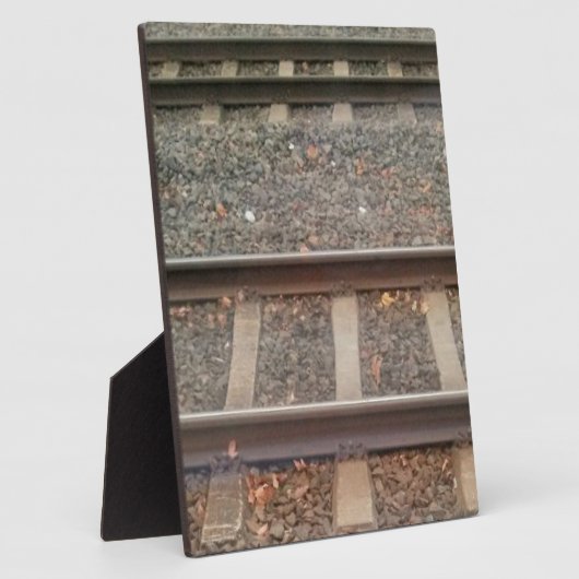 Zugtrassen, Bahn Fotoplatte (Seite)