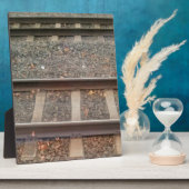 Zugtrassen, Bahn Fotoplatte (Seite)