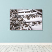 Zugtrassen im Schnee (Leinwand) Leinwanddruck (Insitu (Holzboden))