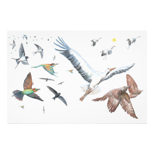 Zugvögel, die ihre Flüge aufspüren Illustration Fotodruck