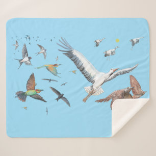 Zugvögel, die ihre Flüge aufspüren Illustration Sherpadecke