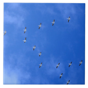 Zugvögel Fliese