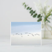 Zugvögel Postkarte (Stehend Vorderseite)