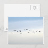 Zugvögel Postkarte (Vorne/Hinten)