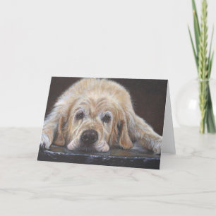 Zuhause-allein goldener Retriever-Gruß-Karte Karte