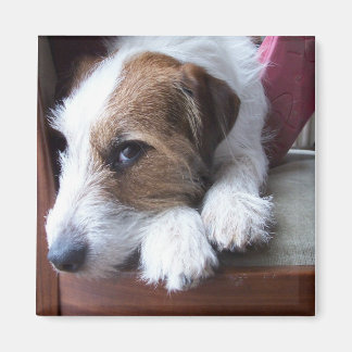 Zuhause am Sonntag Magnet