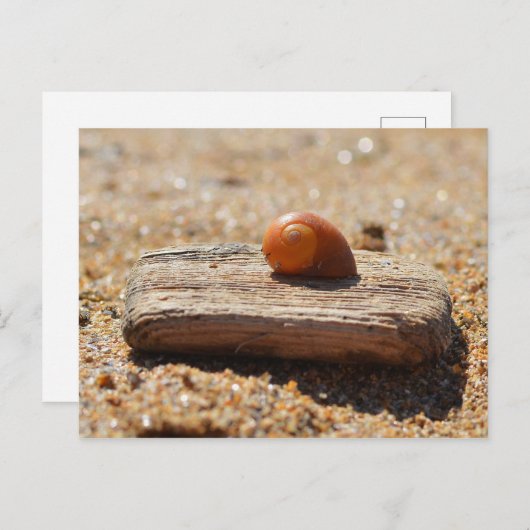 Zuhause am Strand Postkarte (Vorne/Hinten)