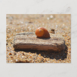 Zuhause am Strand Postkarte