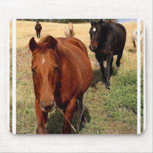 Zuhause auf der Strecken-Mausunterlage Mousepad