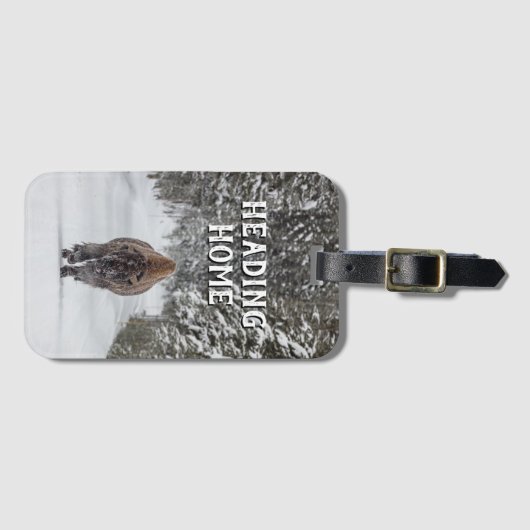 Zuhause Bison in der Schneefälle Gepäckanhänger (Vorderseite (Horizontal))