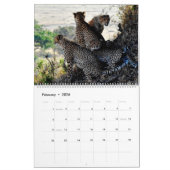 Zuhause/Bürokalender Tierkalender Kalender (Feb 2026)