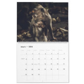 Zuhause/Bürokalender Tierkalender Kalender (Mär 2026)