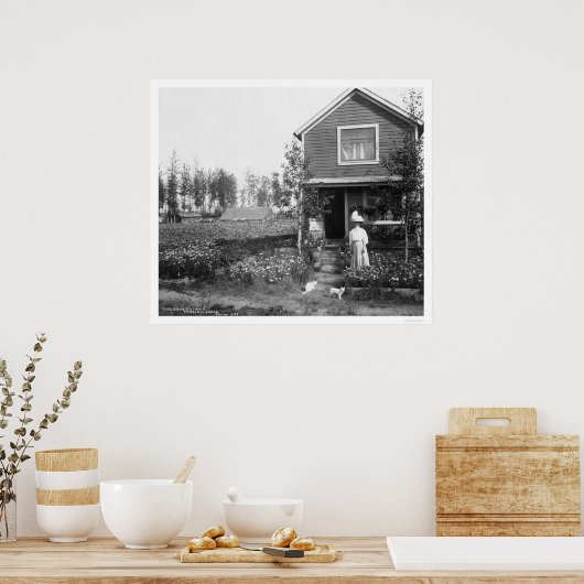 Zuhause Cats Fairbanks Alaska 1916 Poster (Küche)