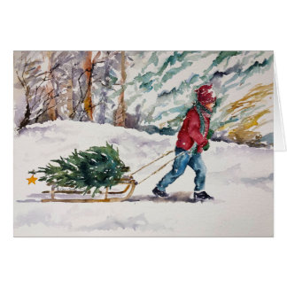 Zuhause den Baum holen