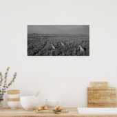 Zuhause der drei Brüder Poster (Küche)