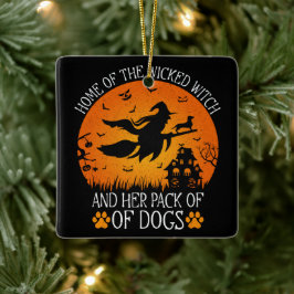 Zuhause der Wicken Hexe und ihre Hundepackung Cool Keramikornament