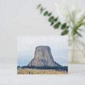 Zuhause eines Bären Postkarte (Stehend Vorderseite)
