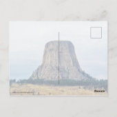 Zuhause eines Bären Postkarte (Rückseite)