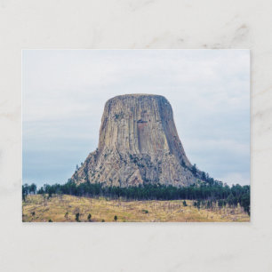 Zuhause eines Bären Postkarte