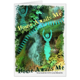 Zuhause erwartet mich