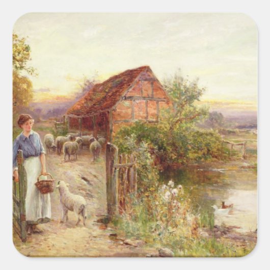 Zuhause für das Schaf Quadratischer Aufkleber (Vorderseite)