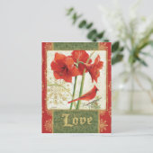 Zuhause für Weihnachten Amaryllis Liebe (Stehend Vorderseite)