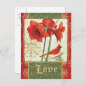 Zuhause für Weihnachten Amaryllis Liebe (Vorne/Hinten)