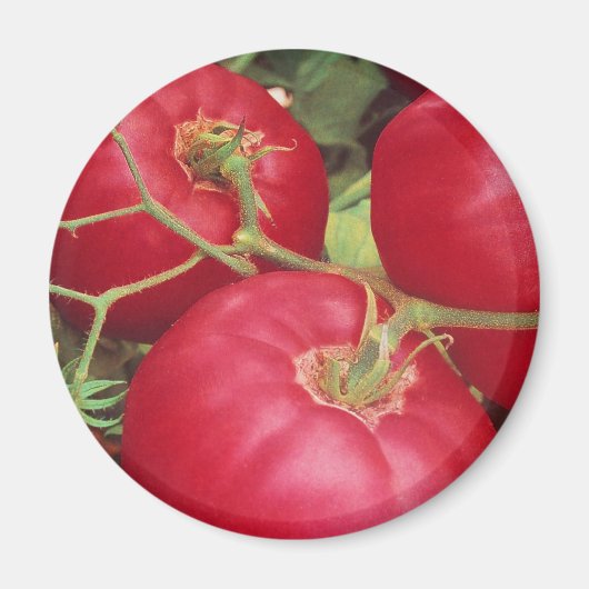 Zuhause Grobkartoffeln Magnet (Vorne)