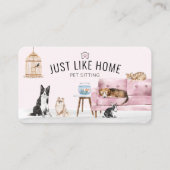 Zuhause Haustier Sitzen Wasserfarbe Gemütliche Zuh Visitenkarte (Vorderseite)