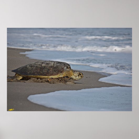 ZUHAUSE II POSTER (Vorne)