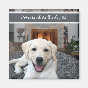 Zuhause ist, wo der Hund ist Magnet