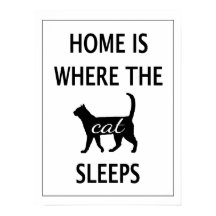 Zuhause ist, wo die Katze schläft