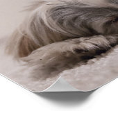 Zuhause ist, wo Ihr Shih Tzu ist Poster (Ecke)